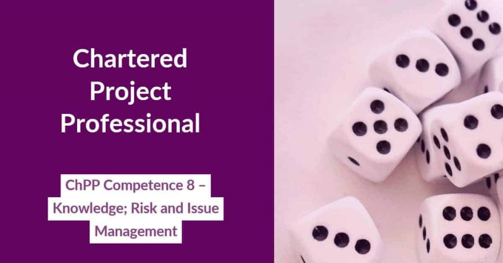 ChPP risk and issue management