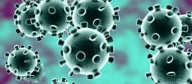 projects affected by coronavirus